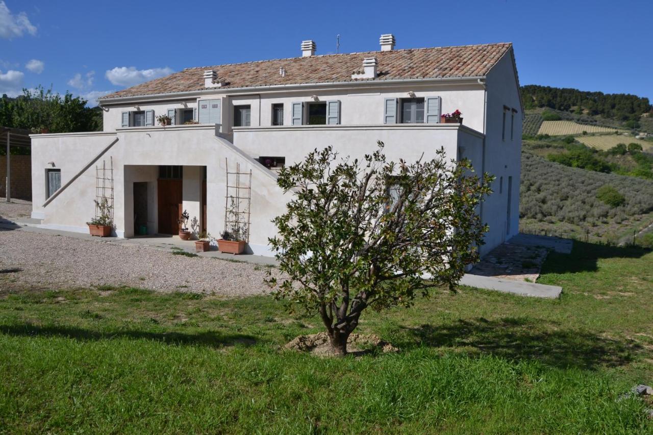 B&B Casale Fonte Vecchia Монтепрандоне Екстериор снимка