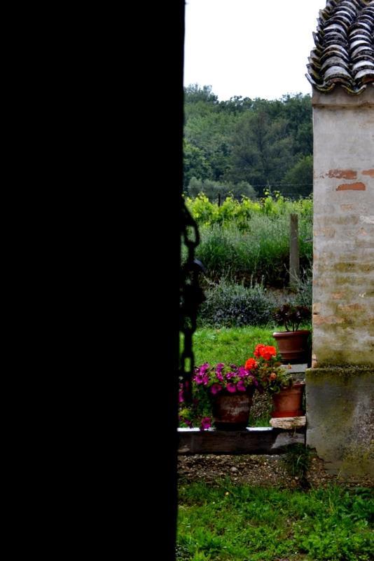 B&B Casale Fonte Vecchia Монтепрандоне Екстериор снимка