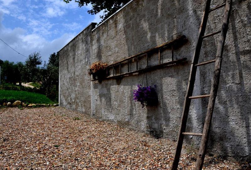 B&B Casale Fonte Vecchia Монтепрандоне Екстериор снимка